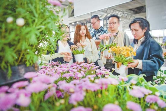 游客在种植基地内选购花卉。新华社记者唐奕摄