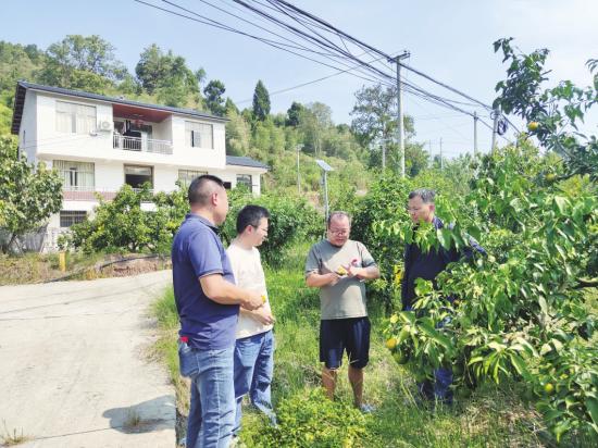 农技人员指导业主开展科学抗旱。