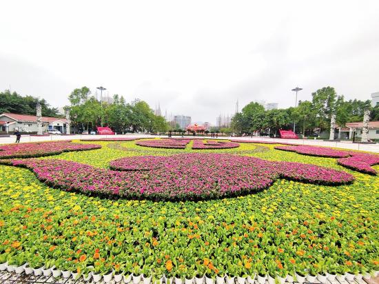 　　1月8日，位于大足城区宏声文化广场的“祥云送福”鲜花布展完成，吸引不少市民驻足观看。
　　新渝报记者谭显全摄