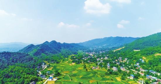 场镇全景。