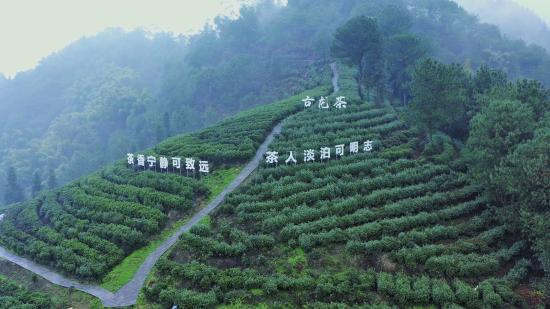 茶山。