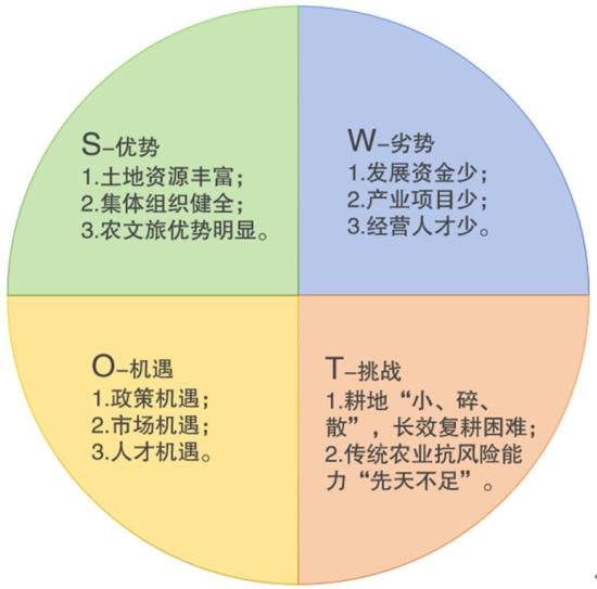 图3：SWOT分析图