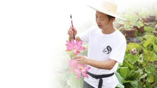 陶麟用毛笔蘸取花粉展示授粉过程。