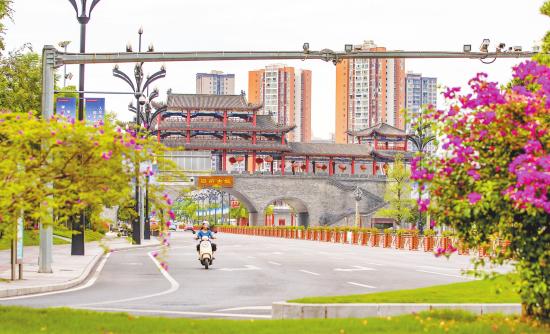 图片1