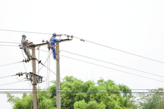 大足区珠溪镇土门村10千伏珠土线升级改造施工现场。