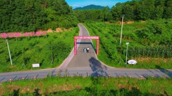 中药材种植基地。
